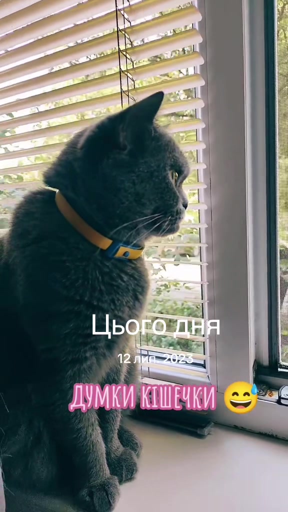 @Юлія ◽ Без сценарію