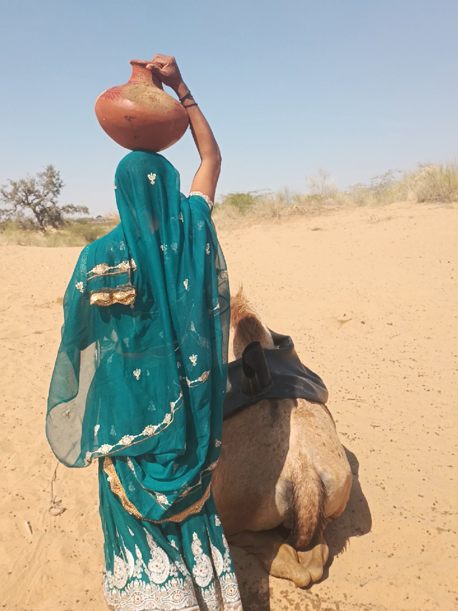 @Animals of desert