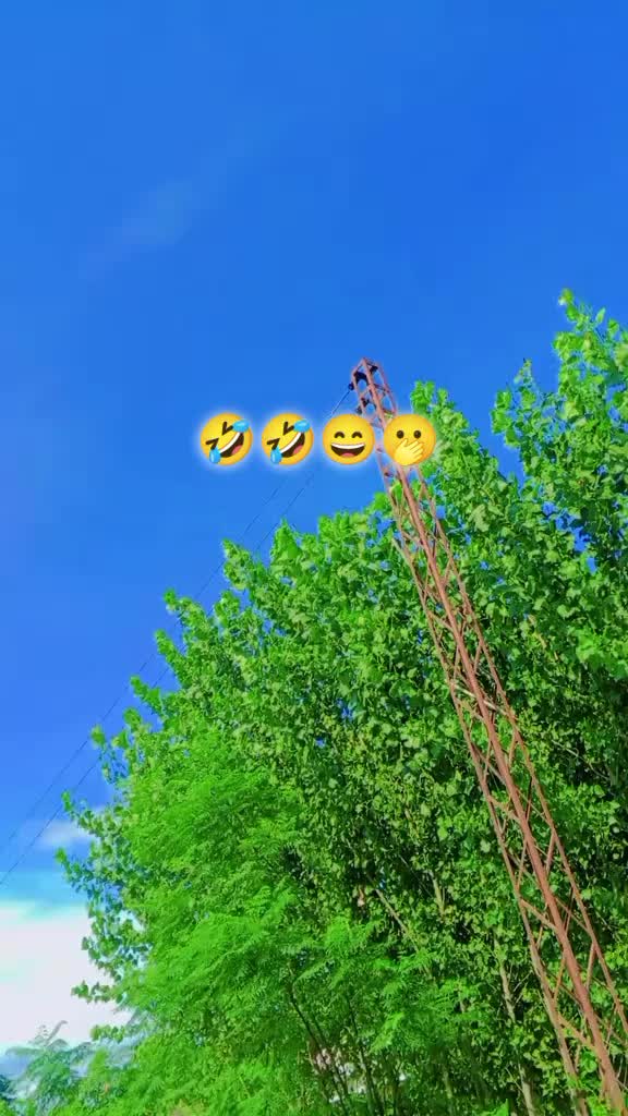 @Aisha🫶