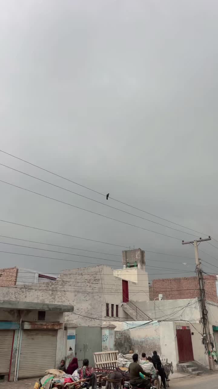 @ᴹᴿ&times;͜&times;&Uuml;&Ntilde;K&Ntilde;&Ouml;W&Ntilde; "🌒🦇