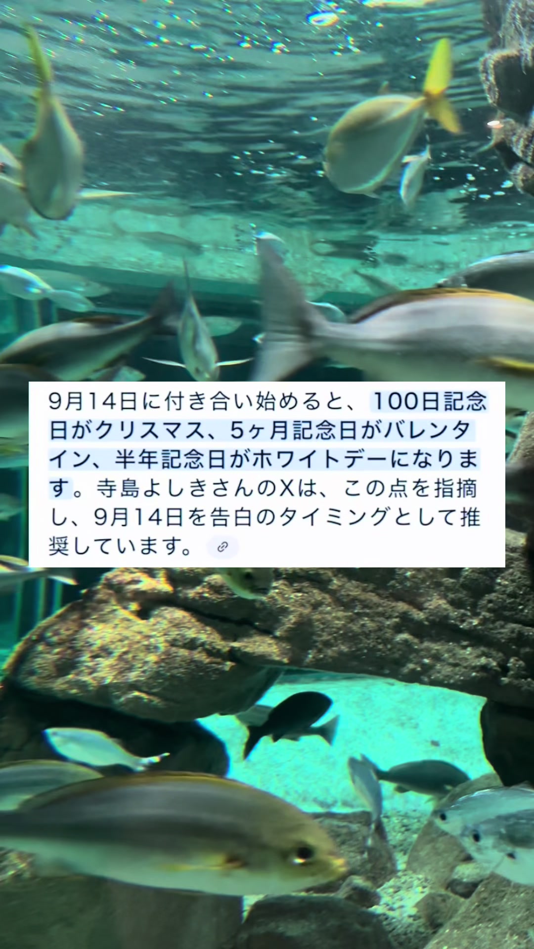 @^_^︎