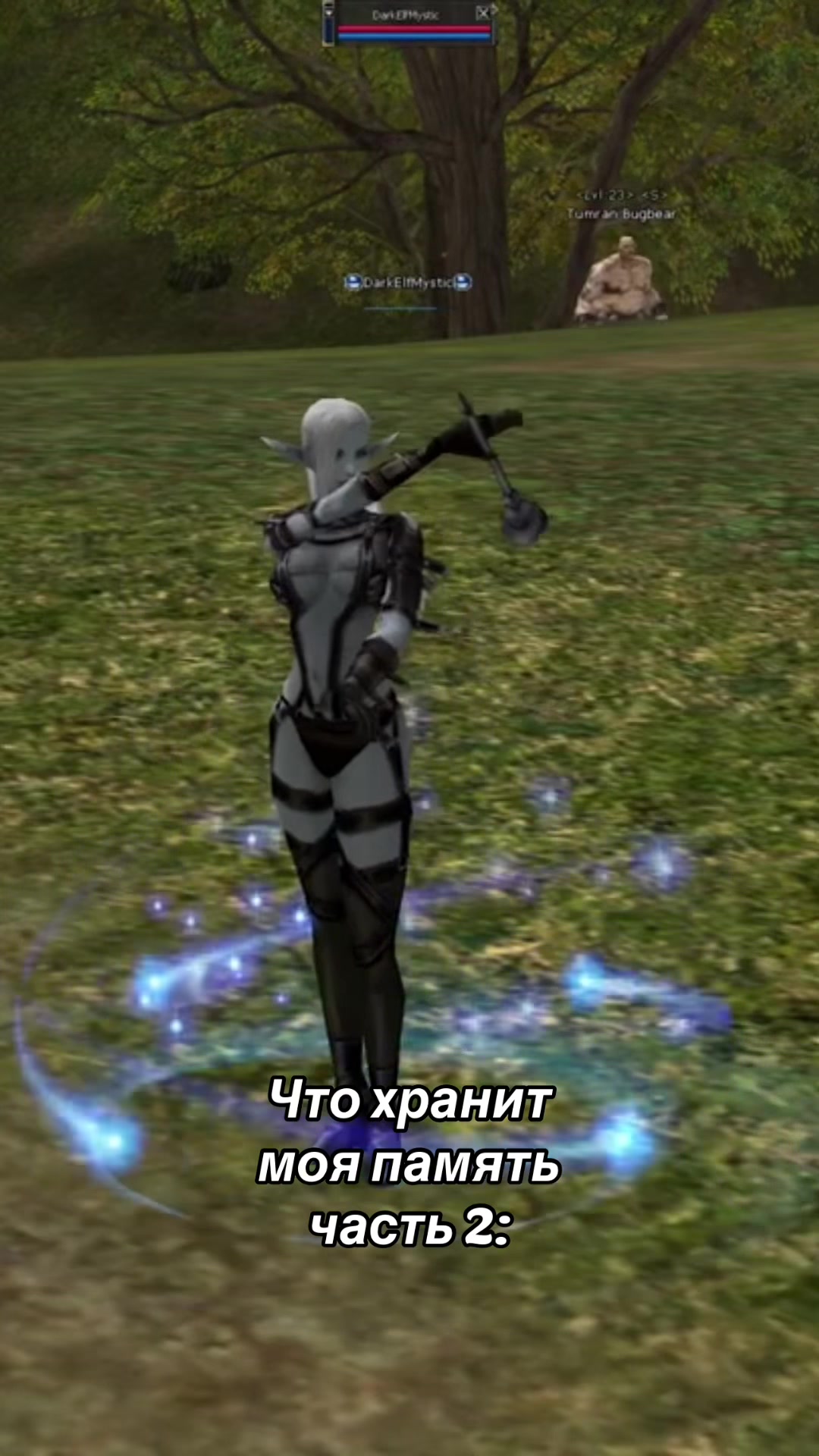 @L2Essence.Online server