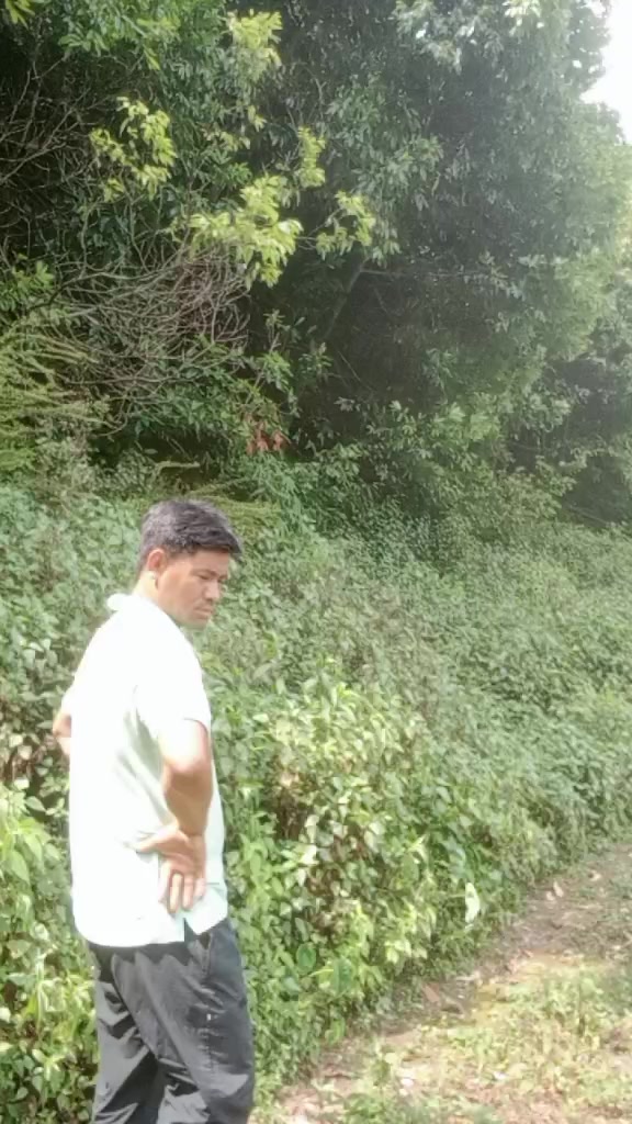 @kumar thapa