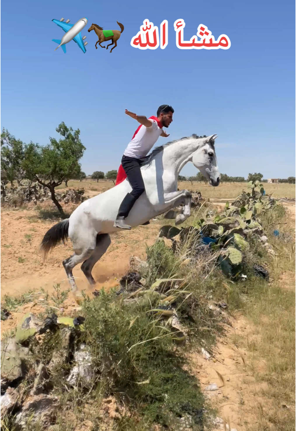 @Feres Ben Amor 🏇