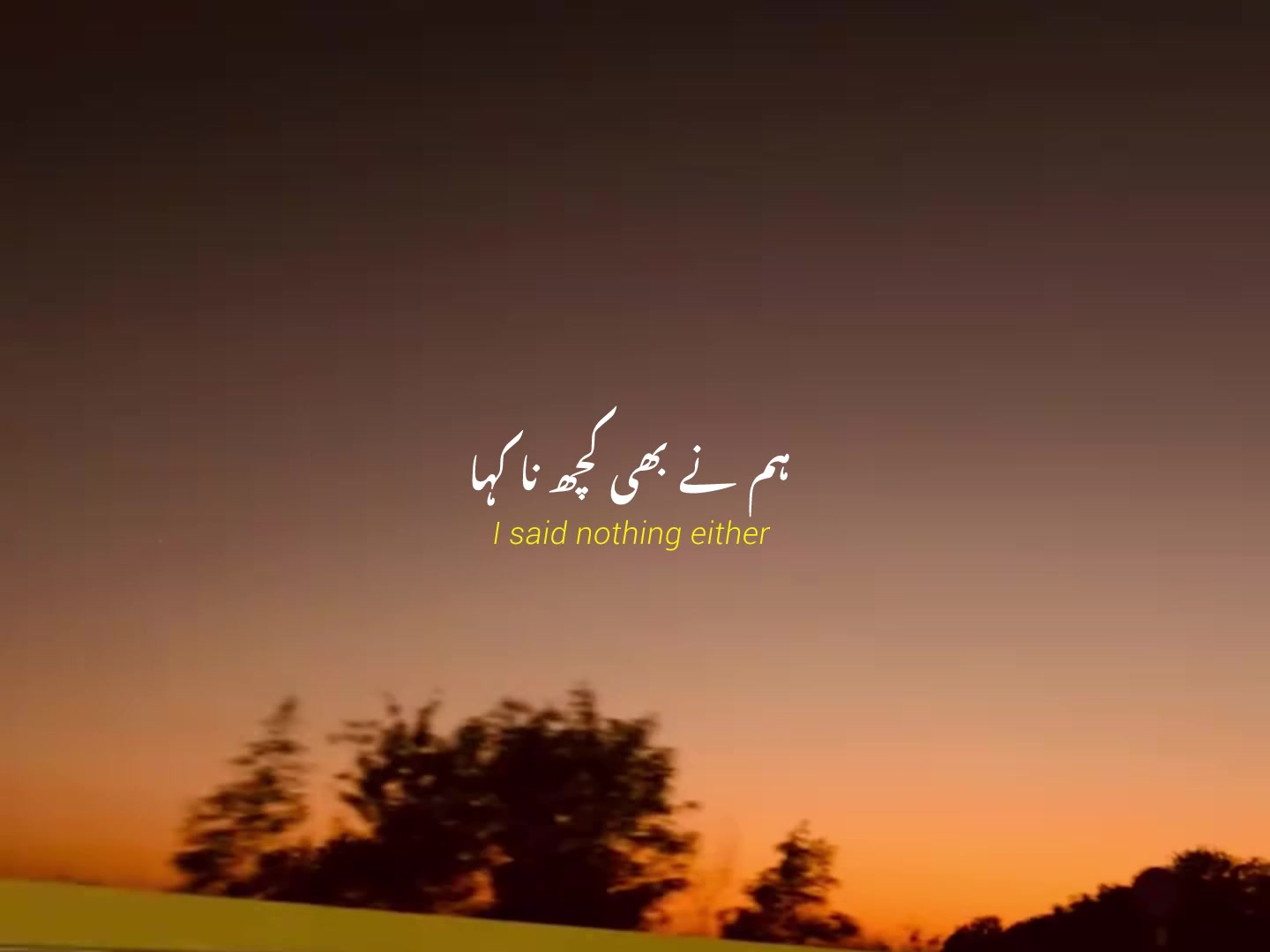 @ʟᴏꜰɪ ᴅʀᴇᴀᴍꜱ