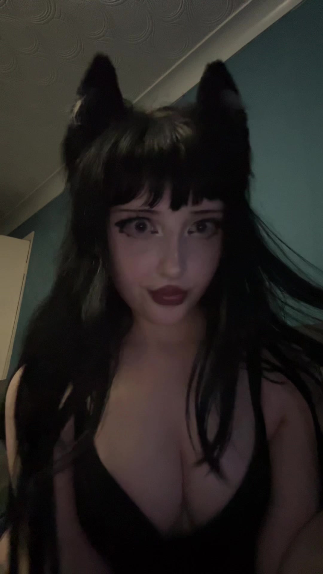 @bella ₍^. .^₎⟆ ♡