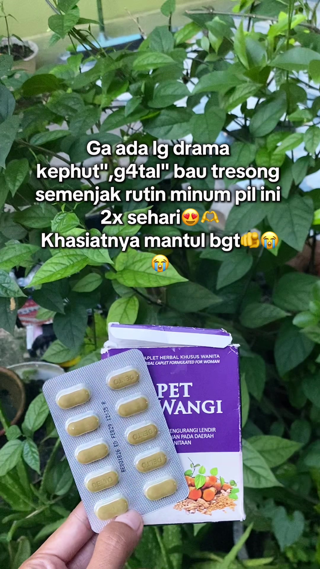 @fifi