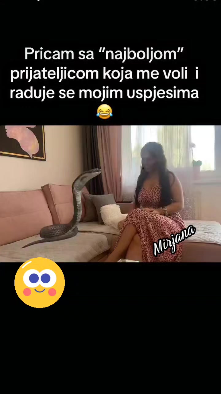 @mirjanavuckovic71