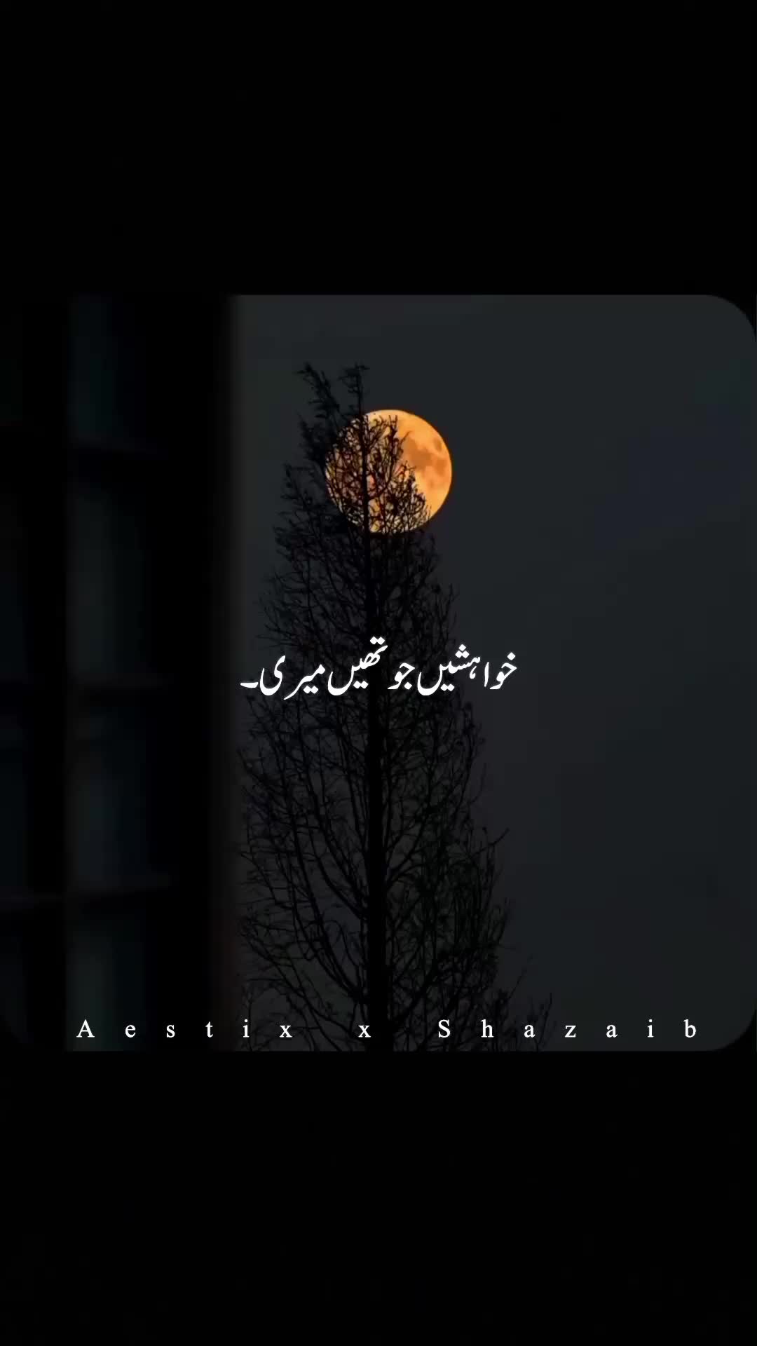 @Aestix x Shazaib