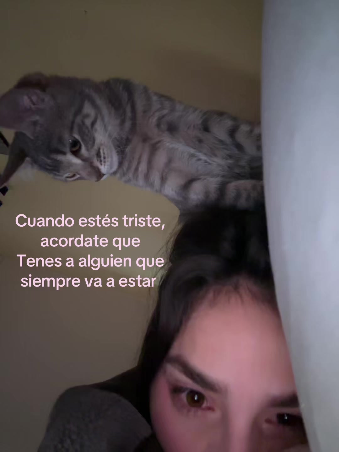 @Palomita