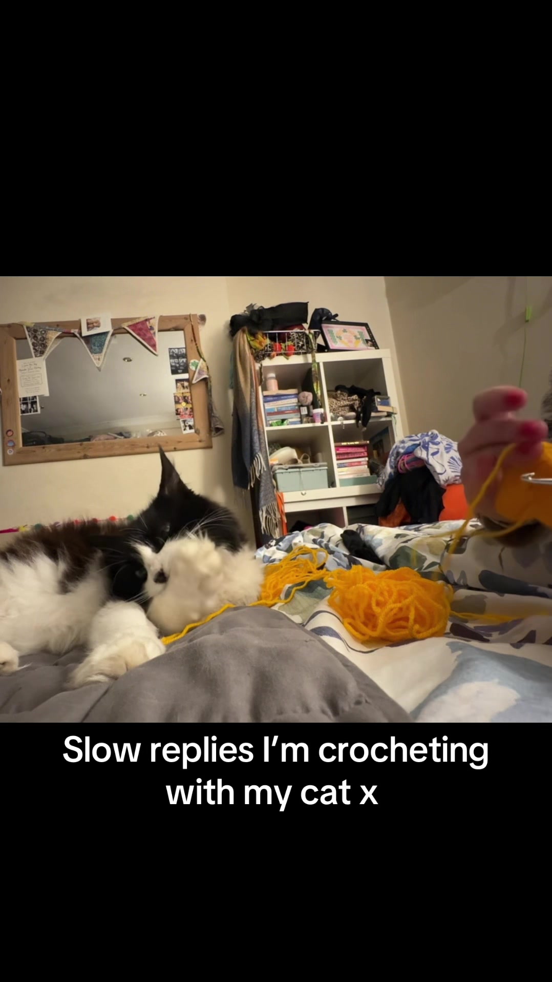 @Siobhán