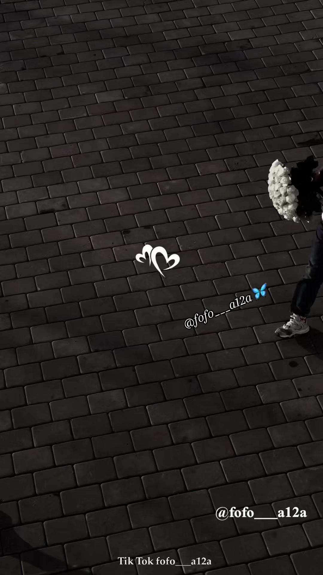 @✨🦋فراشـᬼ❥᭄❥ᬼـة🦋✨
