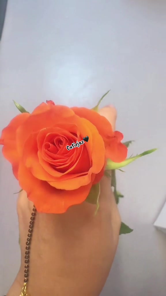 @jessi_k17