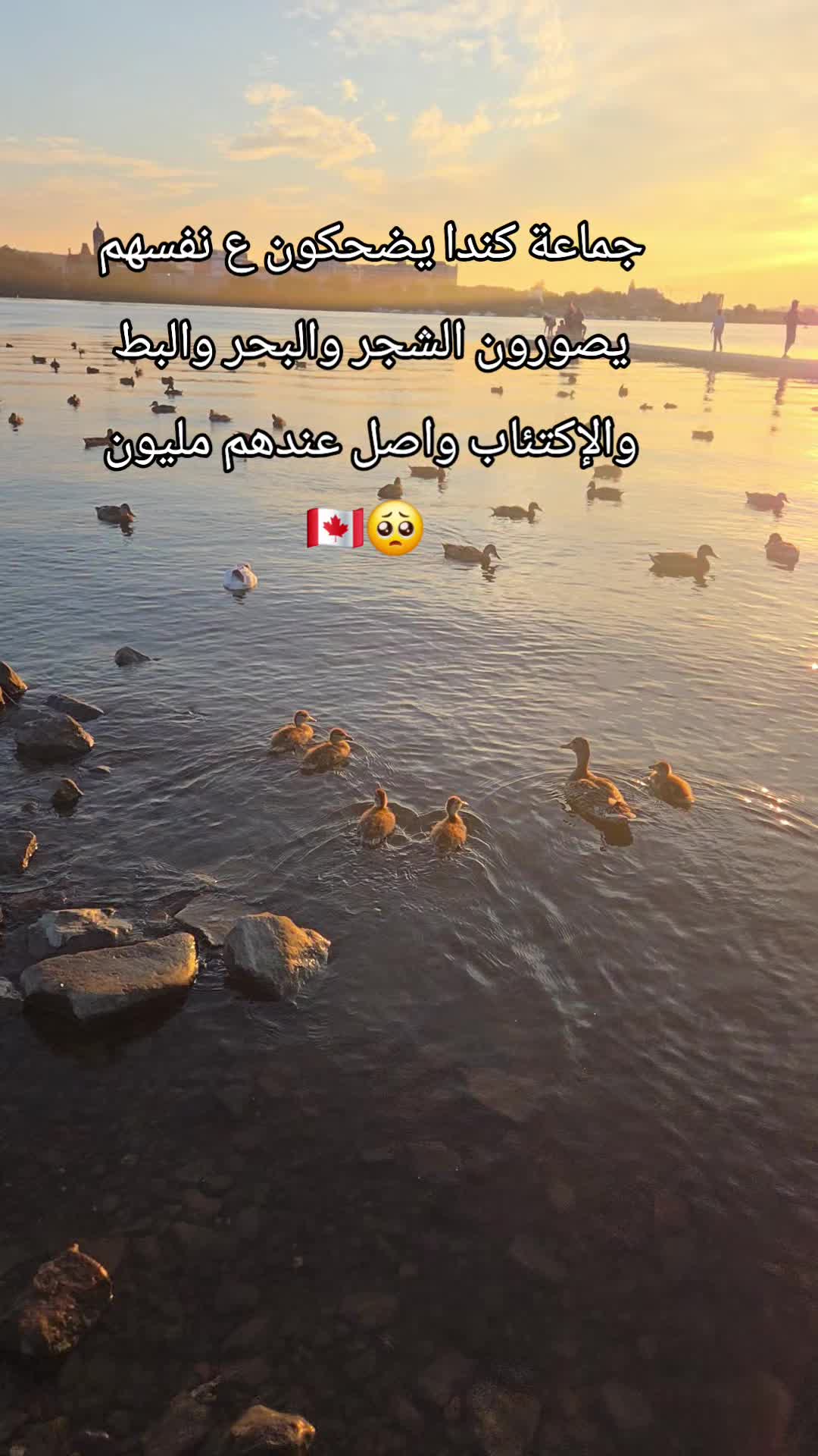 @Nour🌺🌸