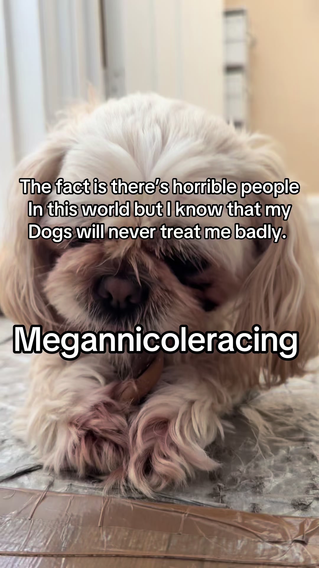 @Megan Nicole 🏎️✨