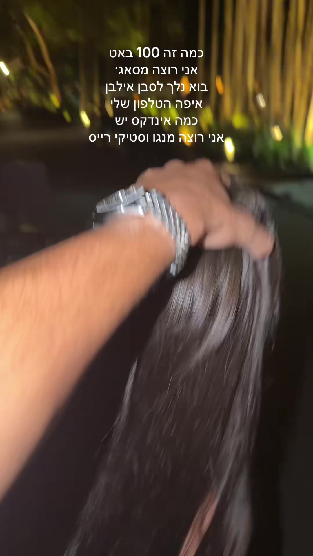 @רומי פלמן