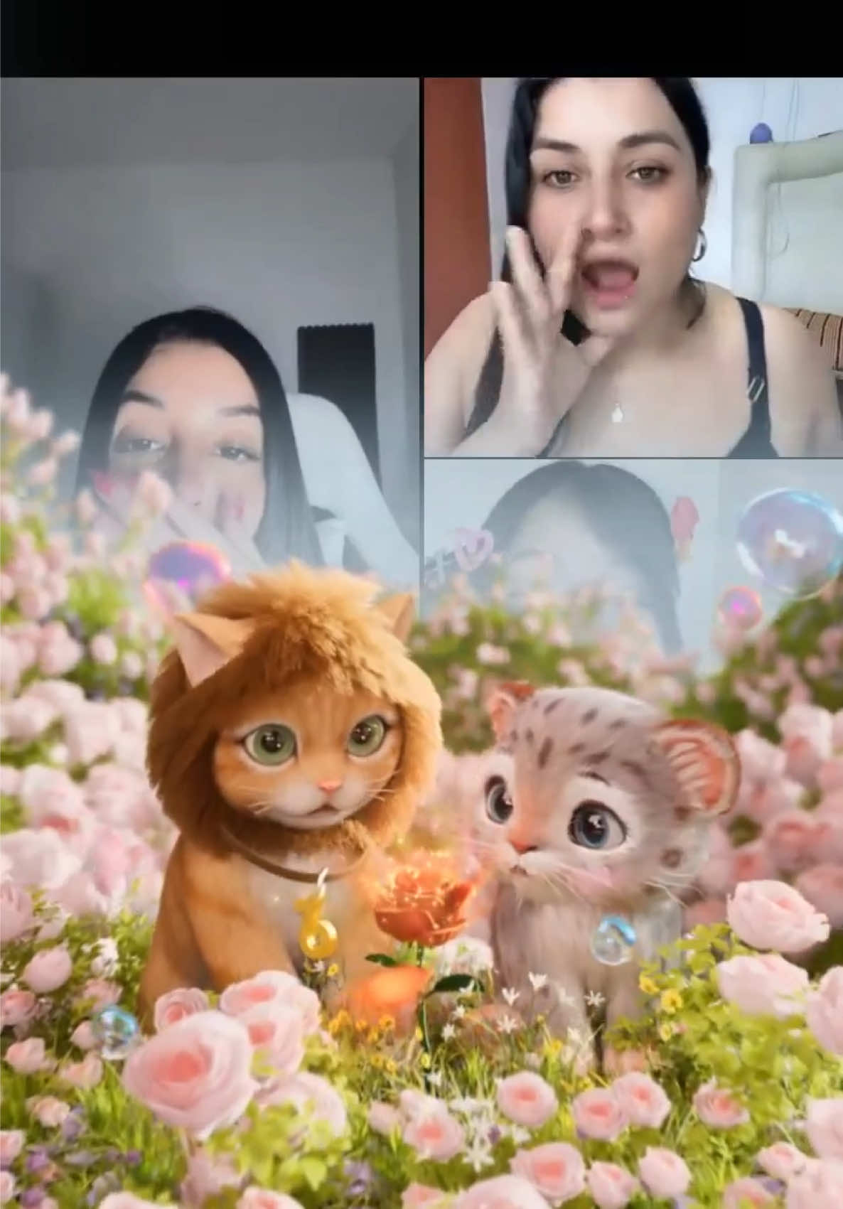 @Fanslucero