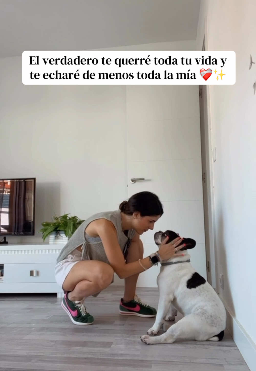 @emedemaestra5