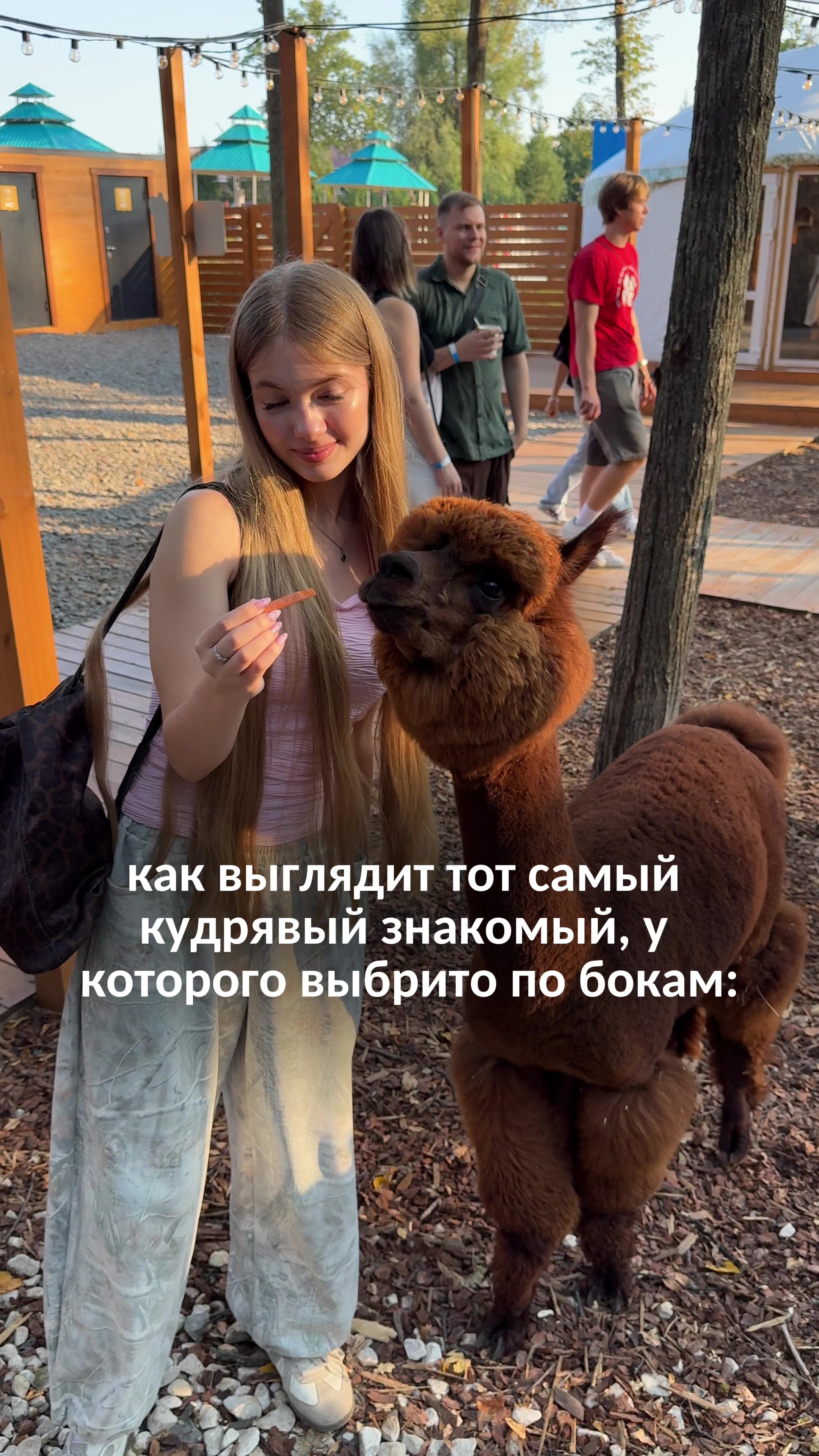 @Тася Карцева