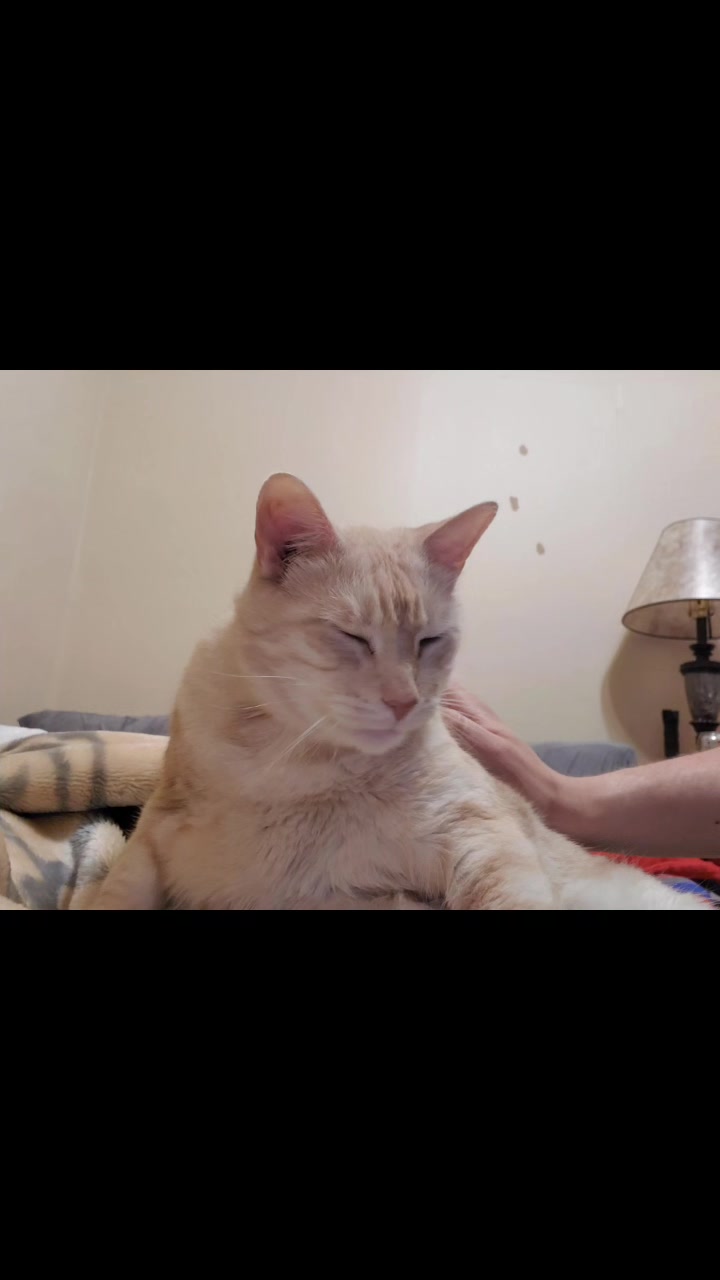 @Tim