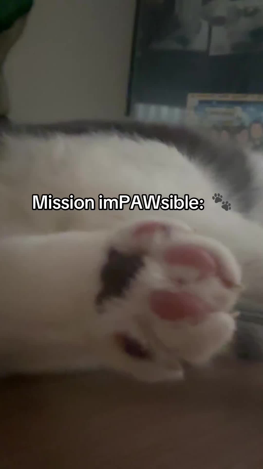 @Emojithecat
