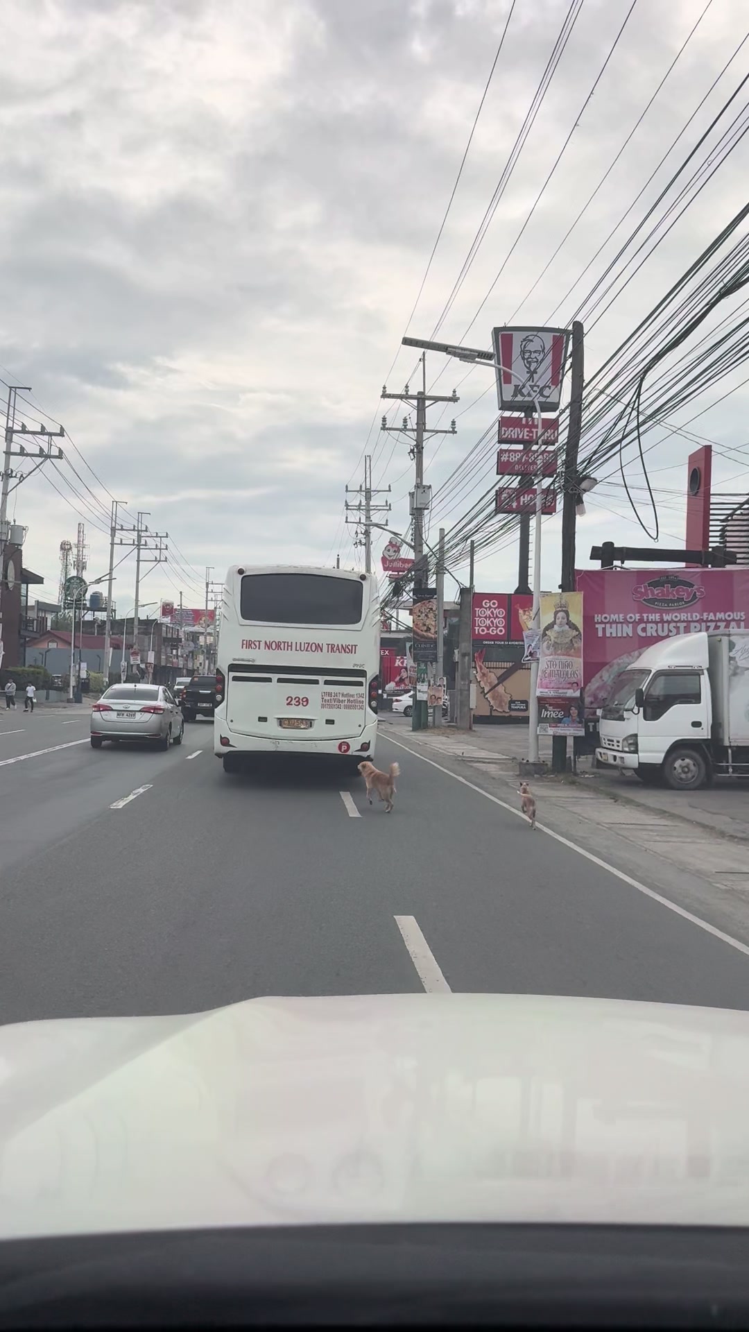 @Nene Aguilar