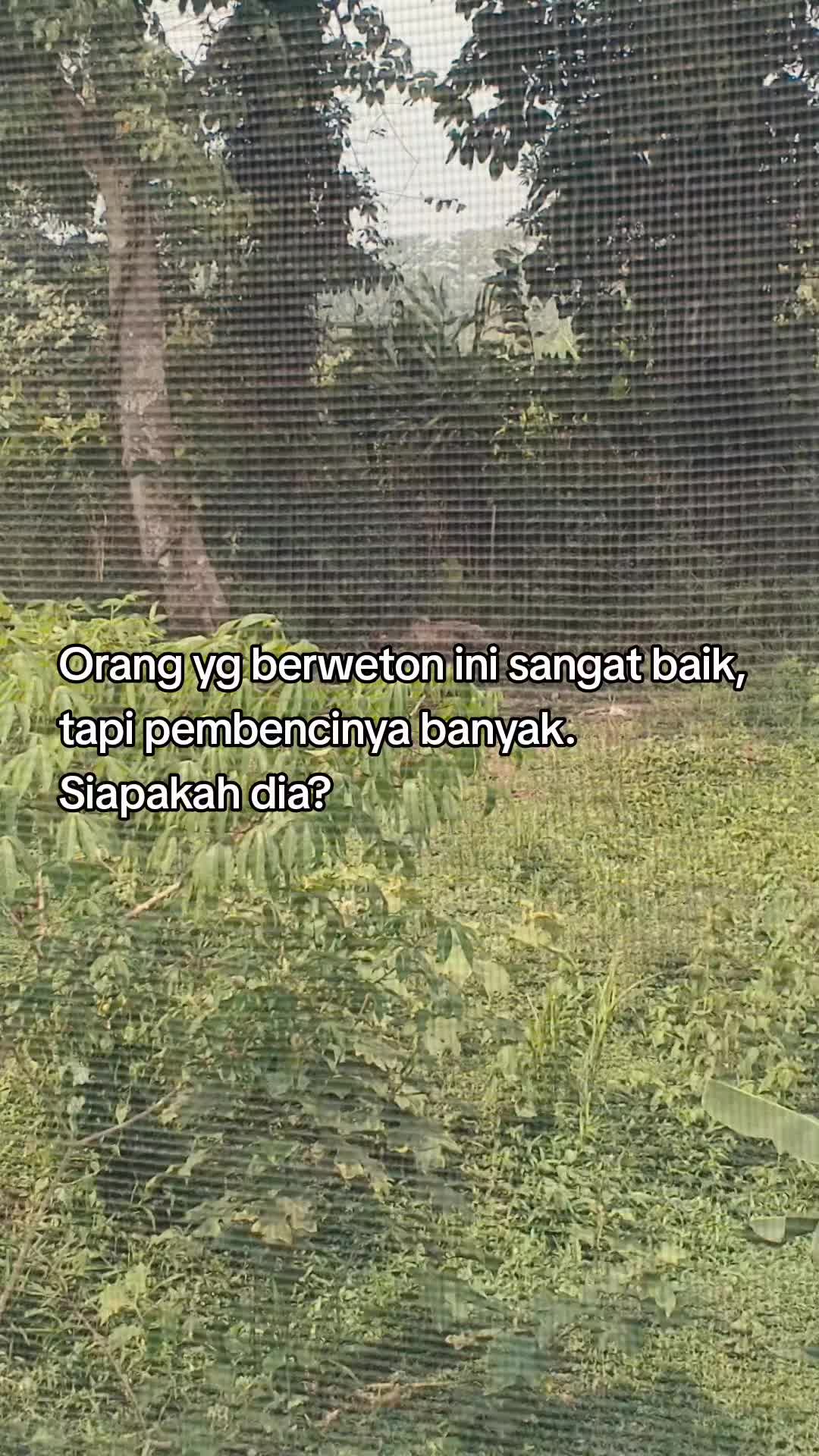 @Ardi project