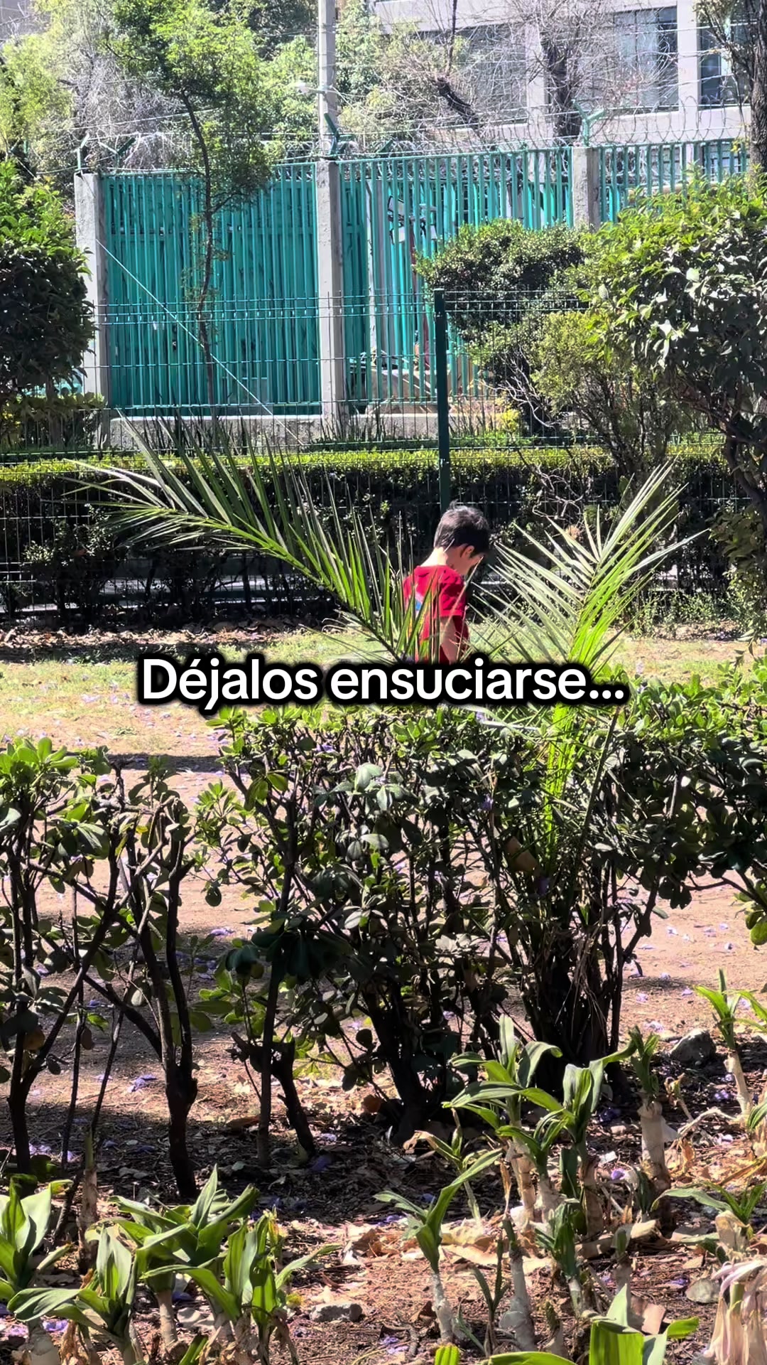 @momentosconmony