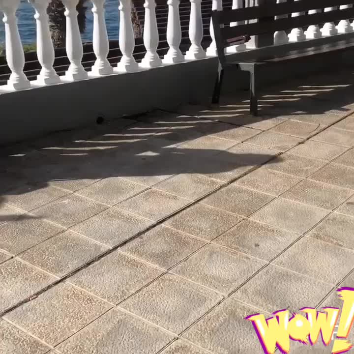 @neupomnischeva