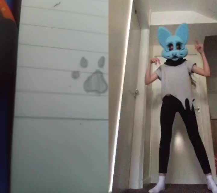 @neko and whitefang