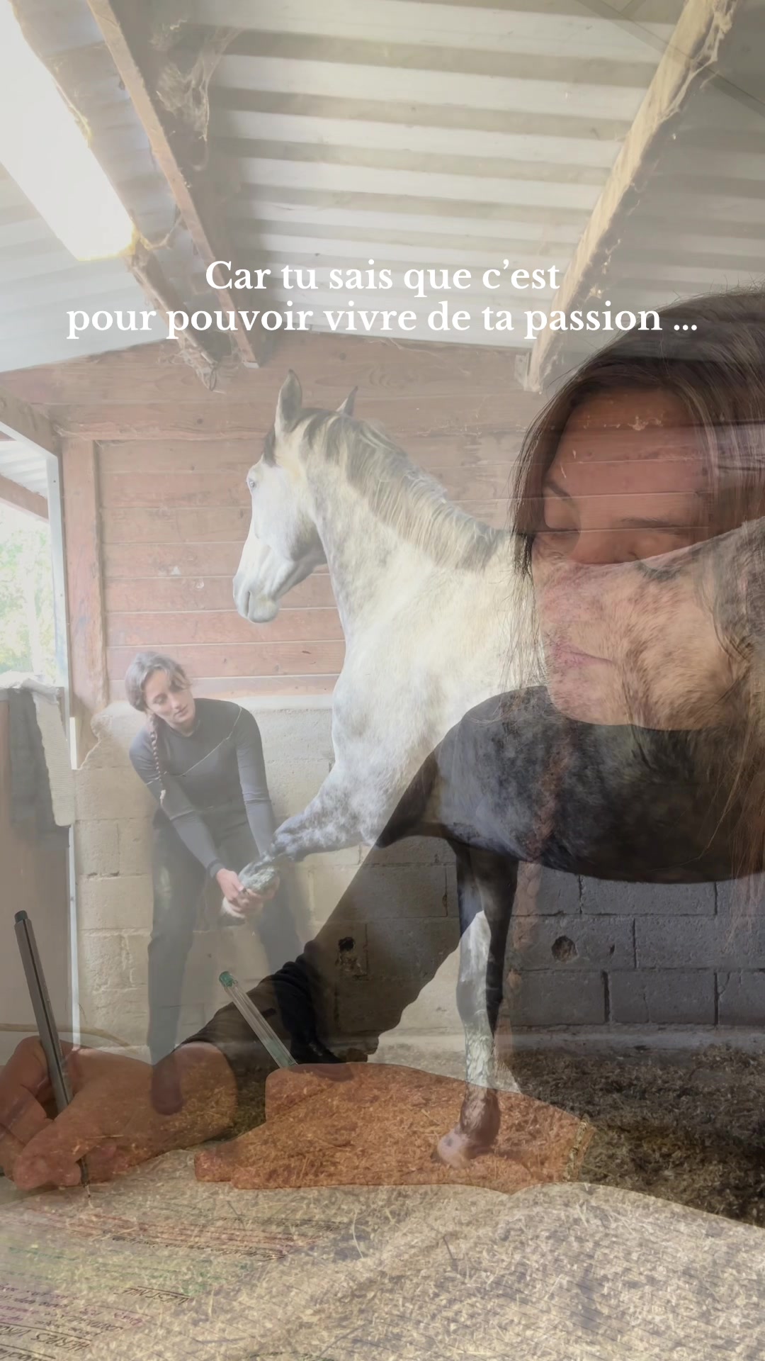 @Hannah ostéopathie animale 🐎