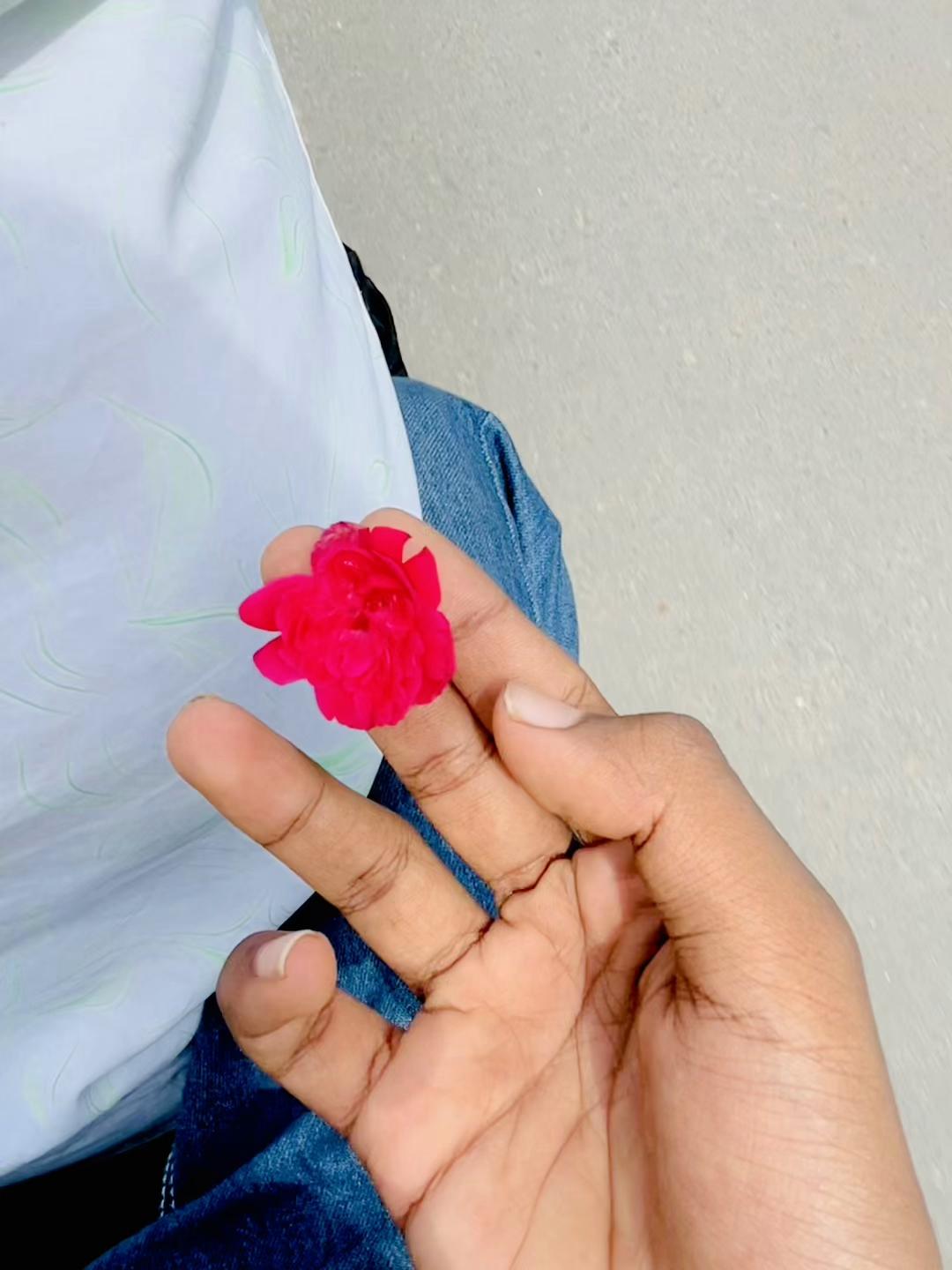 @𝙉𝙞𝙡𝙤𝙮 