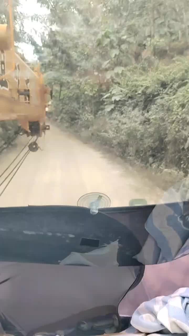 @panglima harimau puteh