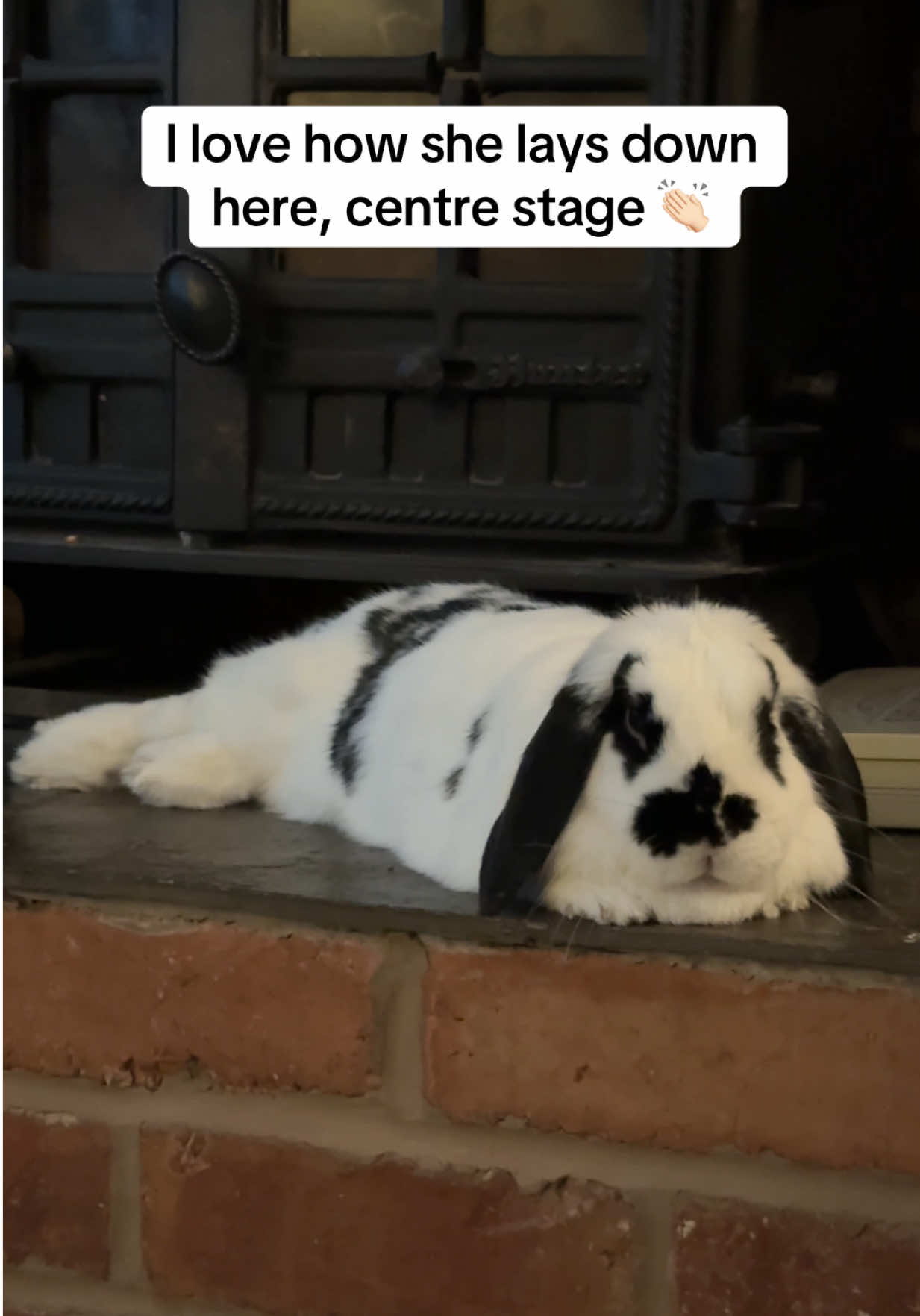 @Bun, two, three, four