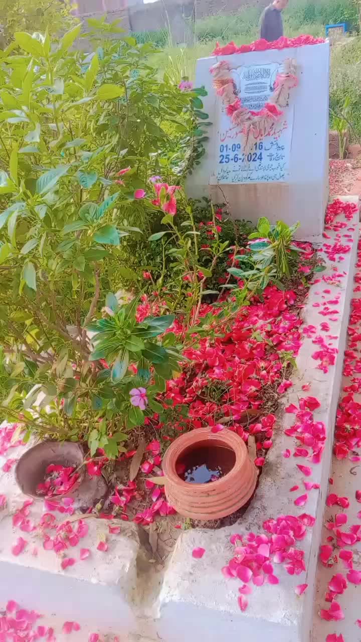 @Mohammad ayaan🌹❤️