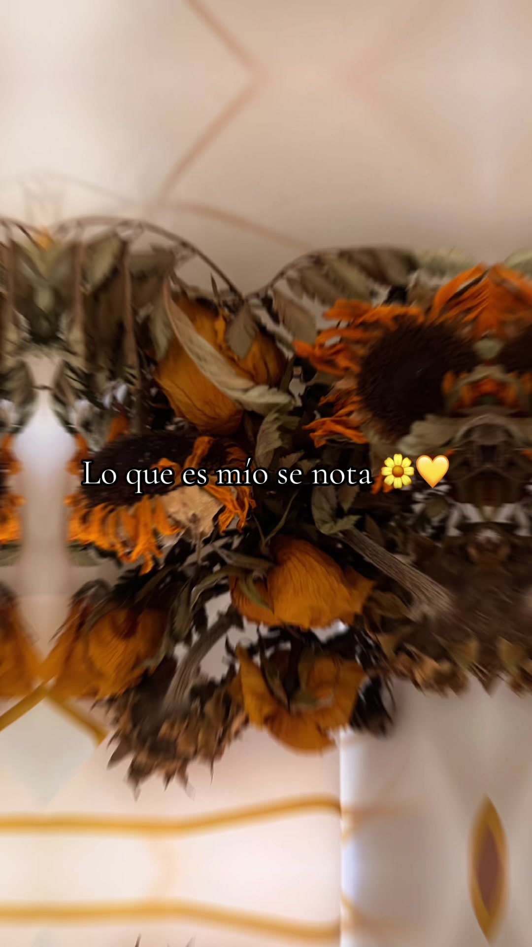 @Teresa García