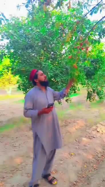 @🐬MUBASHIR AHMAD🇬🇧