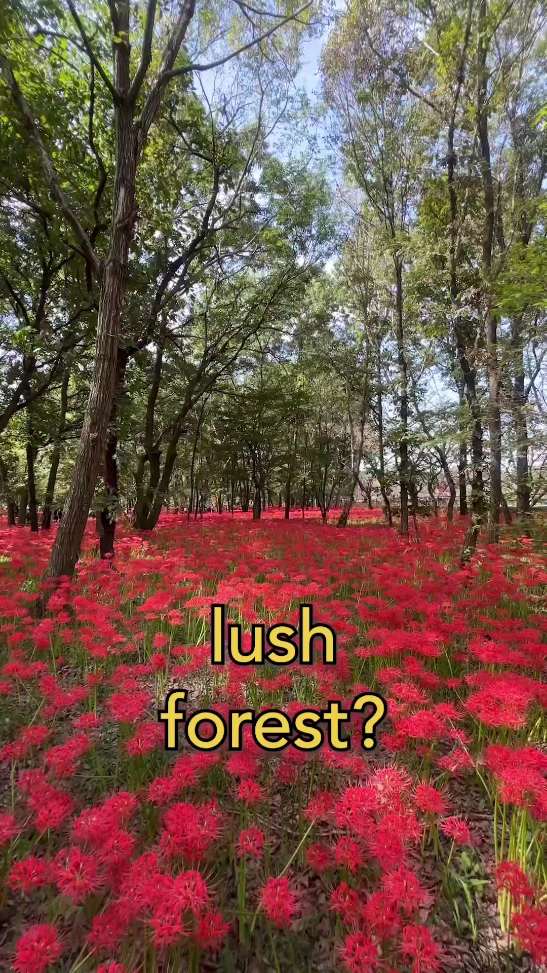 @thattravelguy