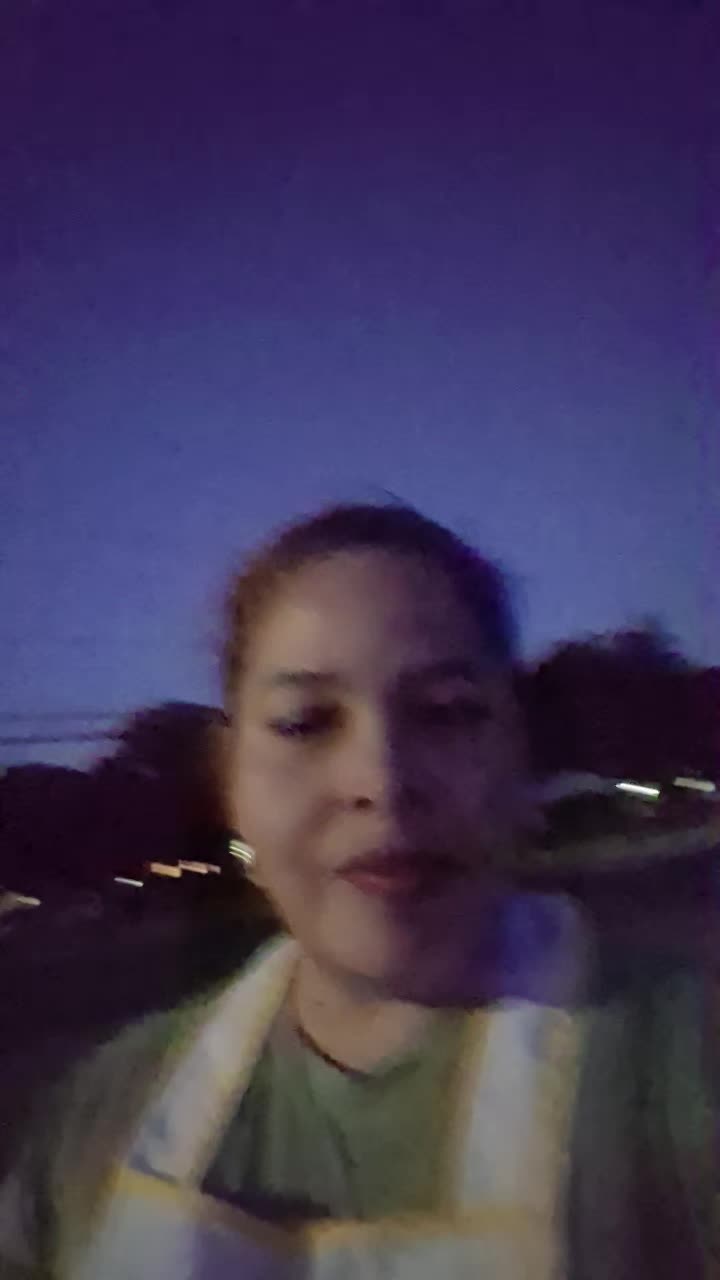 @el ave fénix