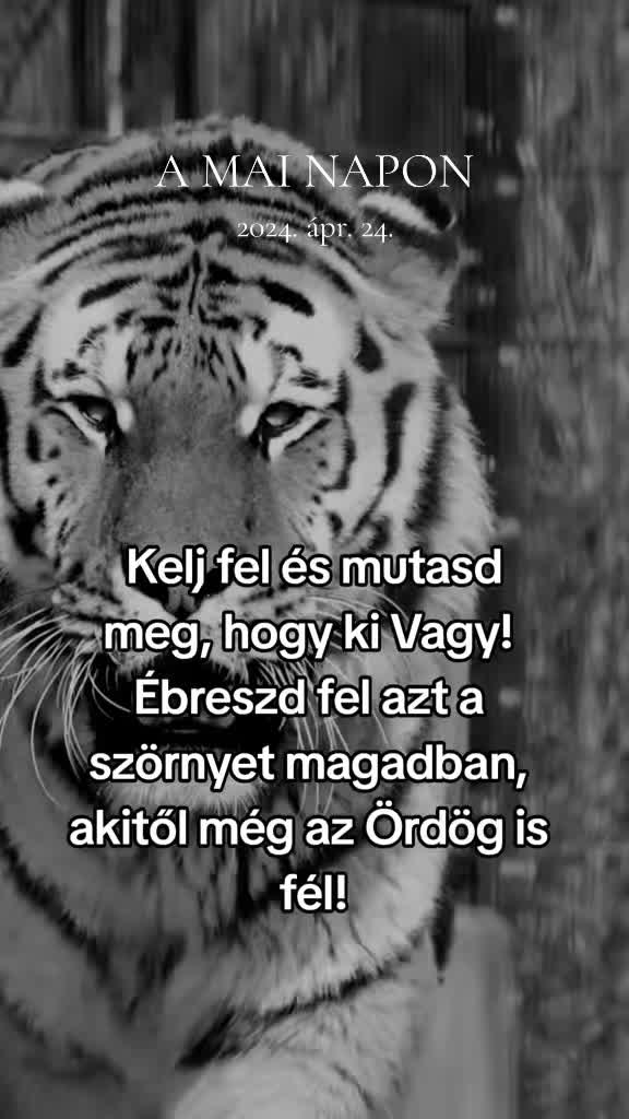 @❤️🩹Tiszta_Lélek_Láng❤️🔥