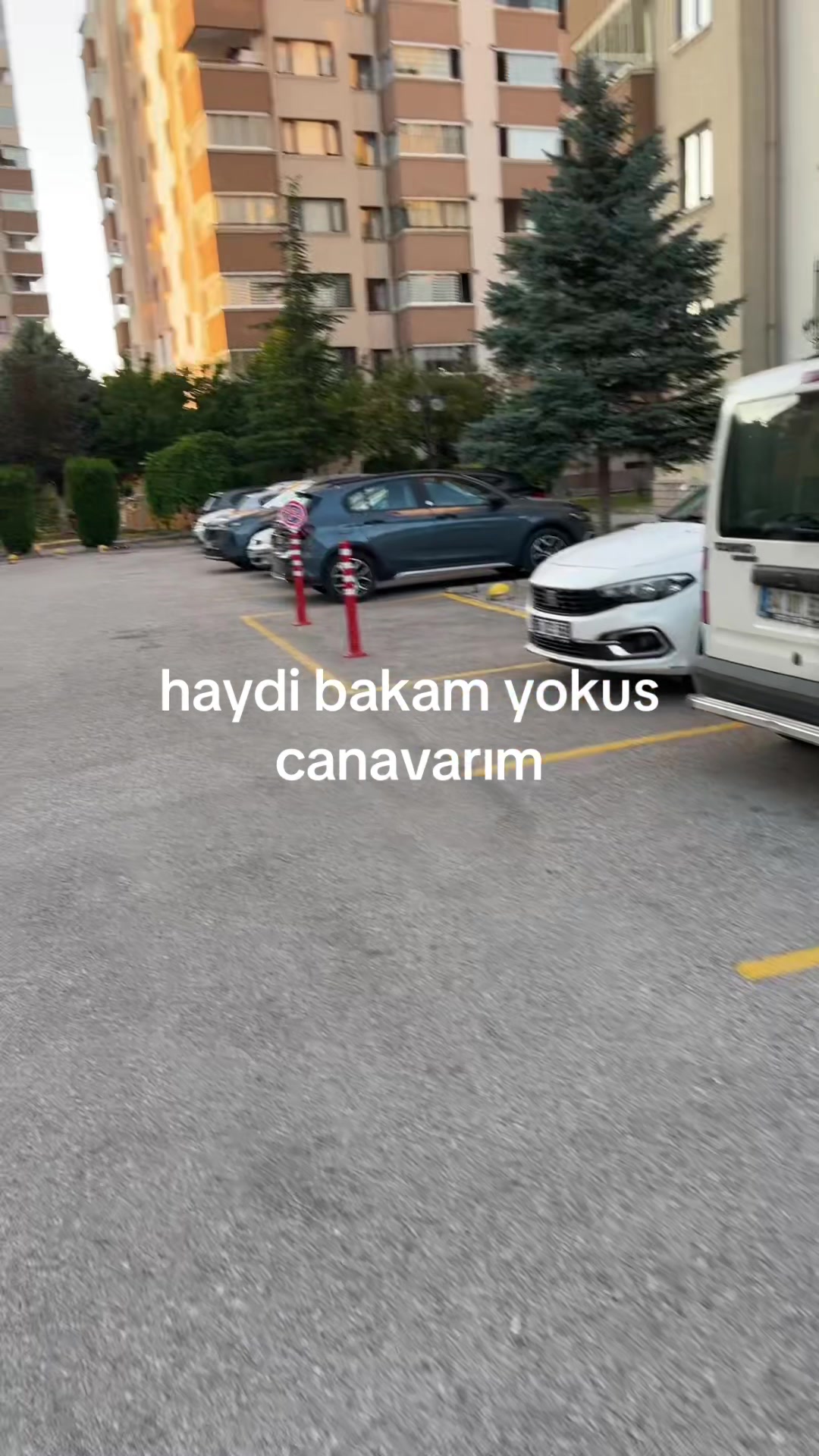 @bockay