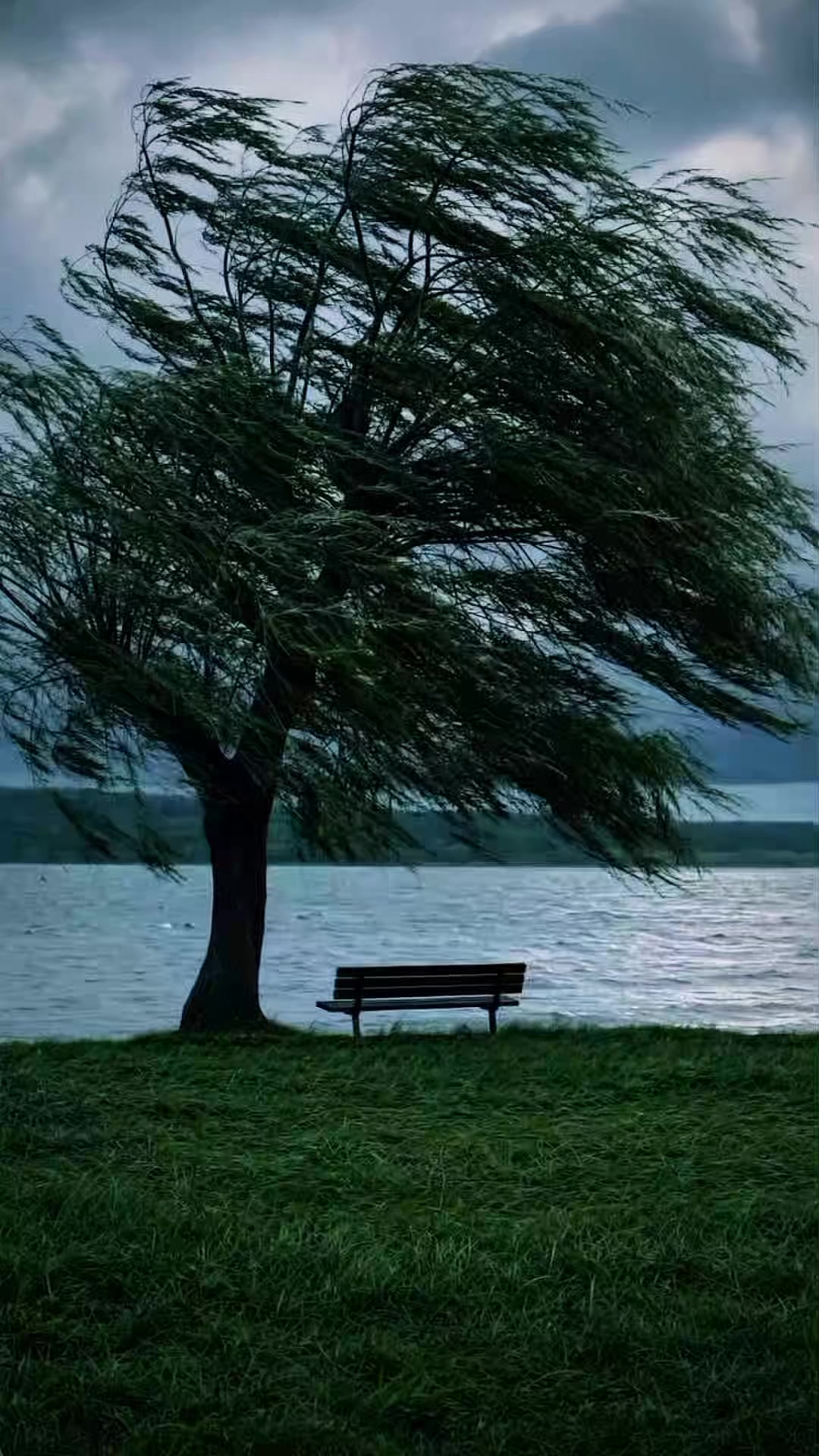 @Kur'an_ayet_hadis_ve_du&acirc;