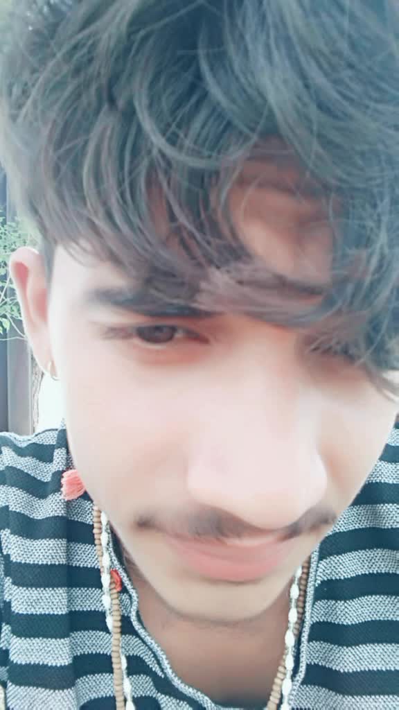 @burdak shab