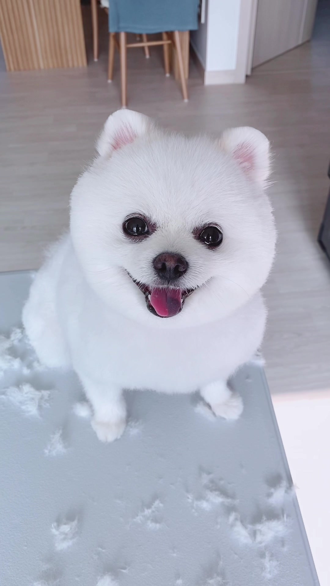 @권하리