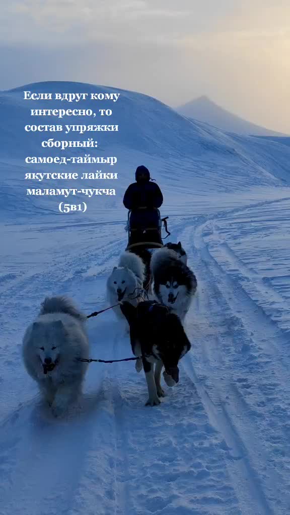 @Nakhodka