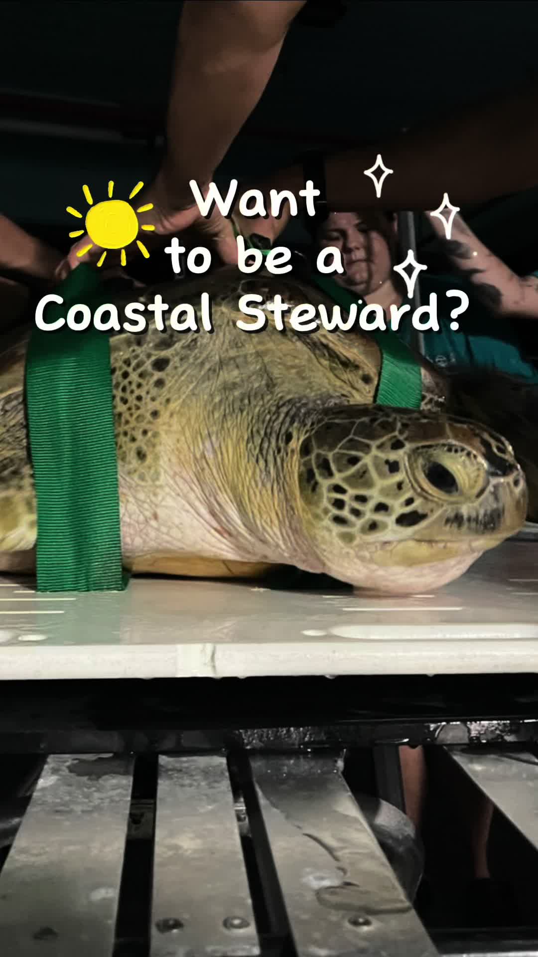 @thecoastalstewards