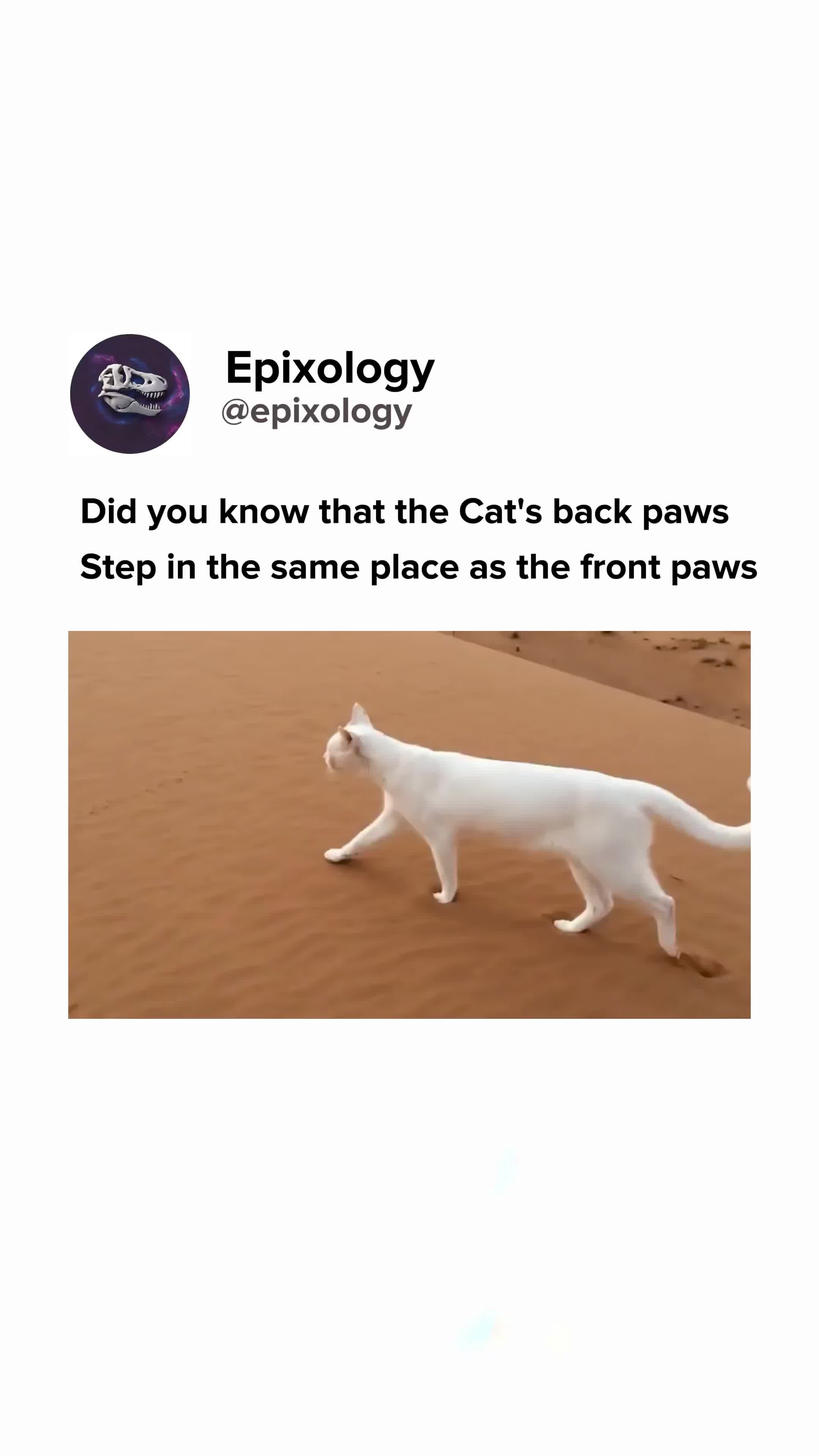 @Epixology