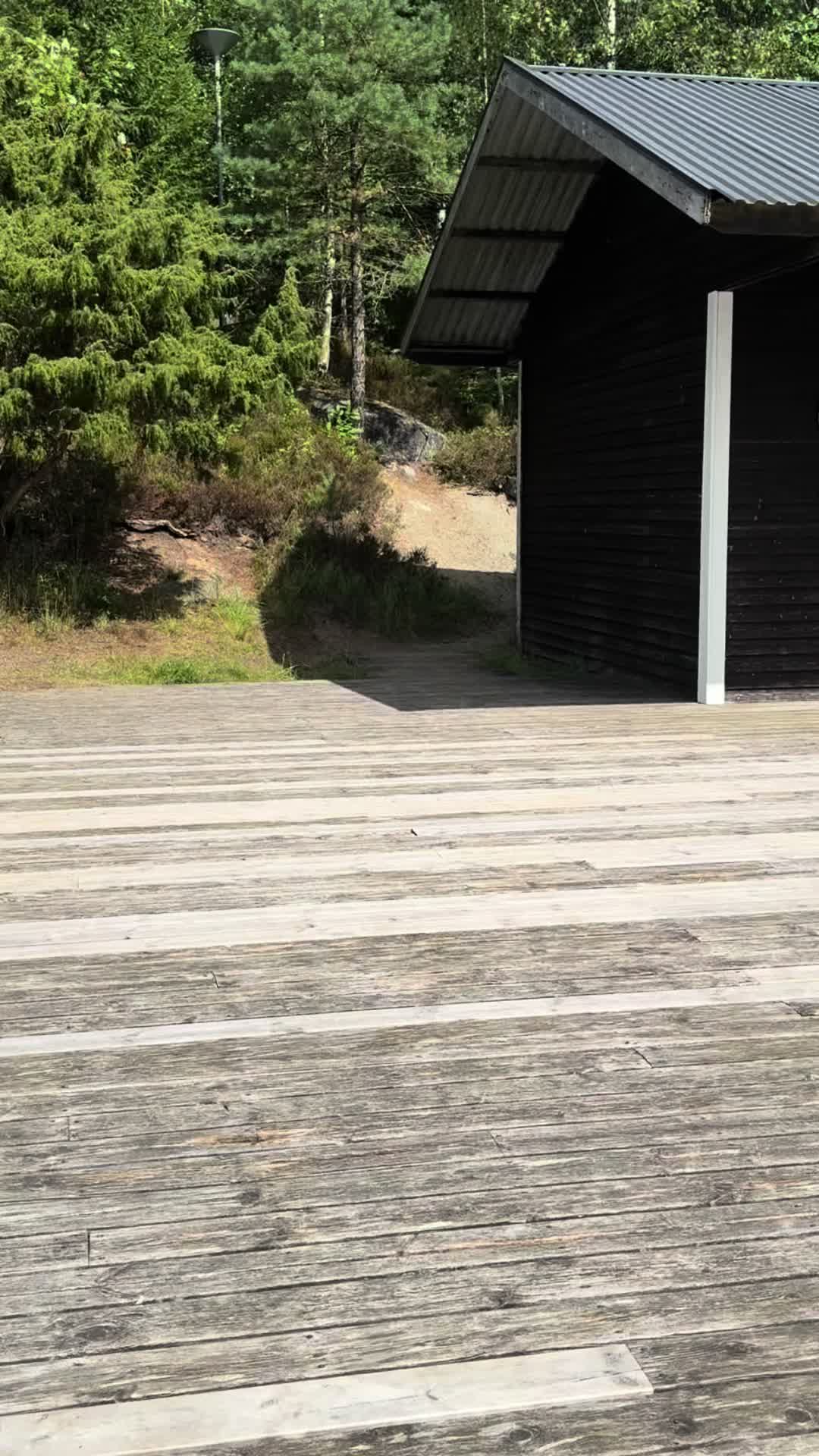 @KING OF BORÅS