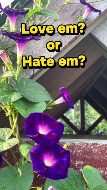 @Artistic gardening