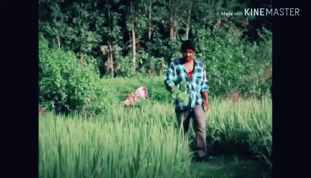 @Suresh